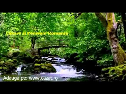 Cazare Stei, Bihor - Cazat.ro