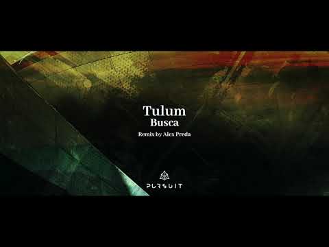 Tulum - Busca (Alex Preda Remix)
