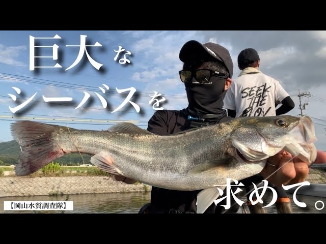 【岡山水質調査隊】釣り動画配信