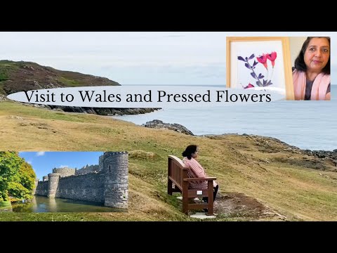 Visit to Wales and Pressed Flowers
