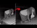 10 Momen Menyeramkan Ketika Kamera Menangkap Hantu Fenomena Aneh Dan Kejadian Misterius