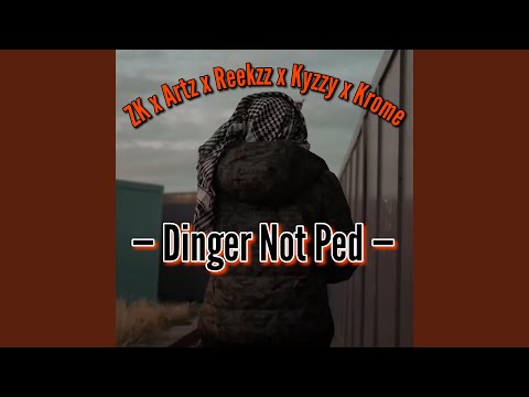 Dinger Not Ped (feat. ZK, Artz, Reekzz & Kyzzy)