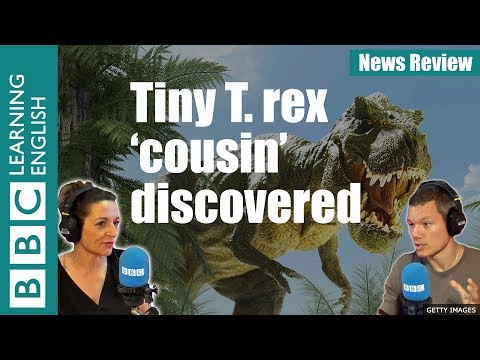 T.rexの小さな「いとこ」を発見 - ニュース・レビュー (Tiny 'cousin' of T.rex discovered - News Review)