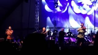 Salieron la estrellas - CELTAS CORTOS