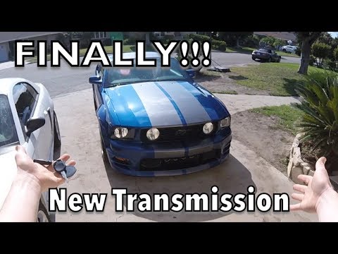 MUSTANG IS BACK!!! T56 Installed