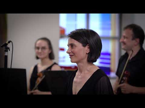 G. Telemann - Concerto in C major for treble recorder TWV 51 C1