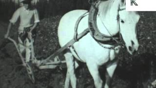1960 Poland Farmers, 1950s/ 1960s Farming