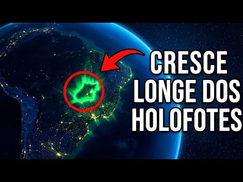 Goiás: o estado que cresce longe dos holofotes