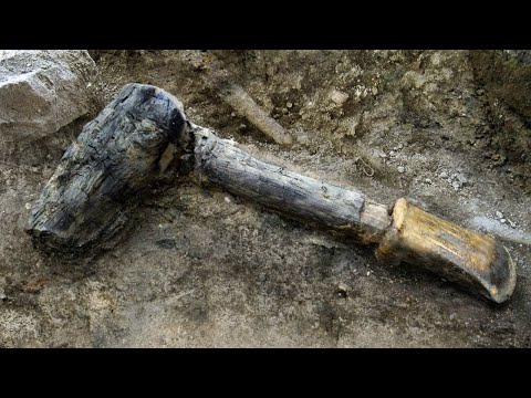 8 Surprising Recent Archaeological Discoveries