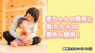 「畳育」その① -赤ちゃんの発育と畳の意外な関係-