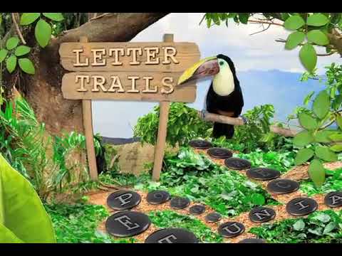 DBFWeb Pir H264 2 Software