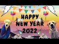 Happy New Year Marco As Marco Marco Labrador Dog
