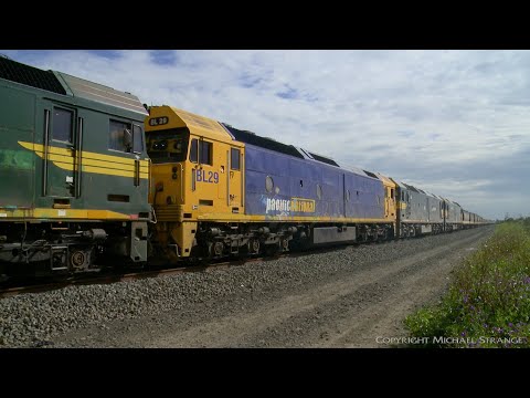 Quad Locomotive Broad Gauge Pacific National Grain Train - PoathTV Australian Railways