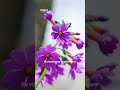 Clip 2