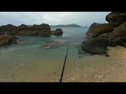 Solo Hootchie camping on mini island   Kayaking   Beach Shark fishing @@@ 32