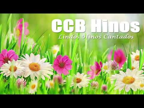 CCB Hinos   356, 142, 252, 350, 064, 405, 121, 80, 01, 235, 190, 349, 88, 398, 284, 340, 368, 398