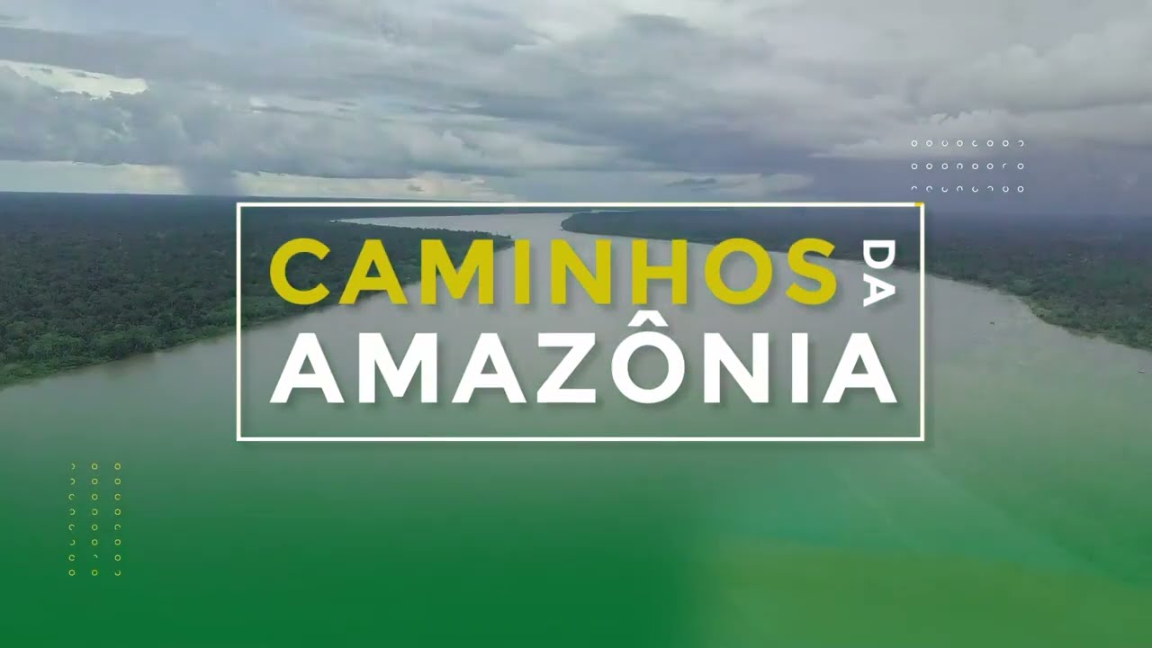 Expedição Caminhos da Amazônia BR 319 - Sul do Amazonas