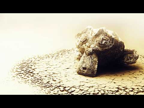 Nandi - Monkey Boarder