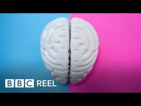 Are male and female brains different? - BBC REEL