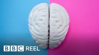 Are male and female brains different? - BBC REEL