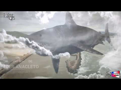 AUDIO SHARK de Eder Anacleto