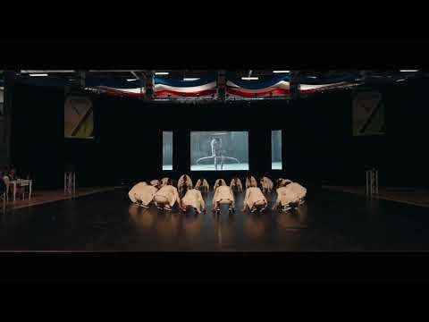 Panic Phoebic 2022 - Fusion Dance Contest - The 5Elements