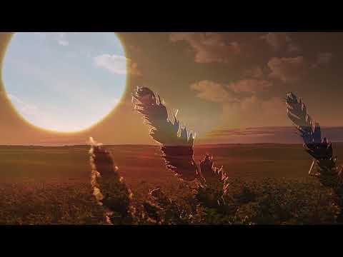 Puiu Chibici si Dorin Cazacu - Plange cu amar