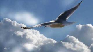 "The wind beneath my wings" - Nana Mouskouri