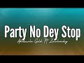 Adekunle Gold - Party No Dey Stop Ft Zinoleesky (Lyrics)