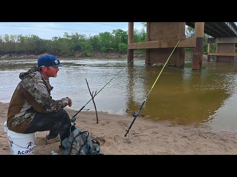 GIANT FISH Live Under This BRIDGE!! (River Fishing)