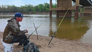 GIANT FISH Live Under This BRIDGE!! (River Fishing)