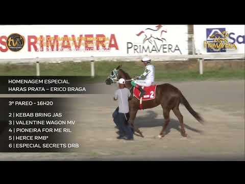 3° PÁREO CLASSIFICATÓRIO GP HARAS PRIMAVERA  - 2023