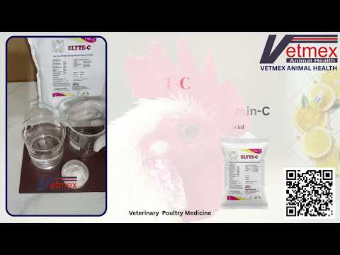 Electrolyte Powder With Vitamin C (25 kg PP Bag)