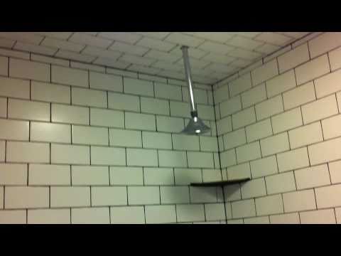 Video Tour of 2bedroom apt on Evergreen Ave