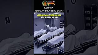 Download lagu Why Can Corpses Move On Their Own? 😱#trending #fyp mp3 Download lagu Why Can Corpses Move On Their Own? 😱#trending #fyp mp3