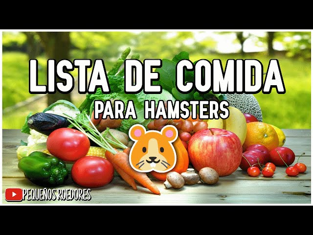Vídeo relacionado con Hamster Premium Plus 750g - Alimento con Verduras, Frutas y Hierbas para hámsters