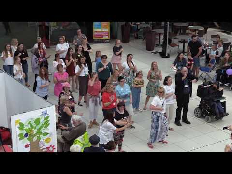 Signed Flashmob in Norwich