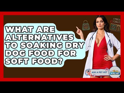 What Are Alternatives To Soaking Dry Dog Food For Soft Food? - Ask A Pet Vet