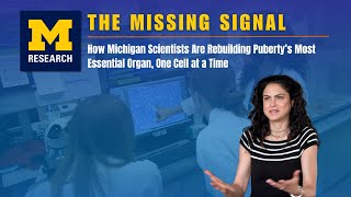The Missing Signal