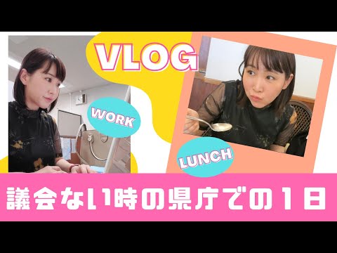 国際関係学科 【議会ない時の県庁での１日】仕事の様子やランチをご紹介！