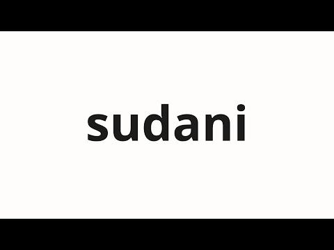 How to pronounce sudani | 수단이 (Sudan in Korean)