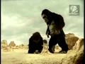 Japanese Car Commercial Funny As