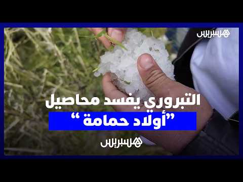 أضرار فلاحية جراء “تبروري” 