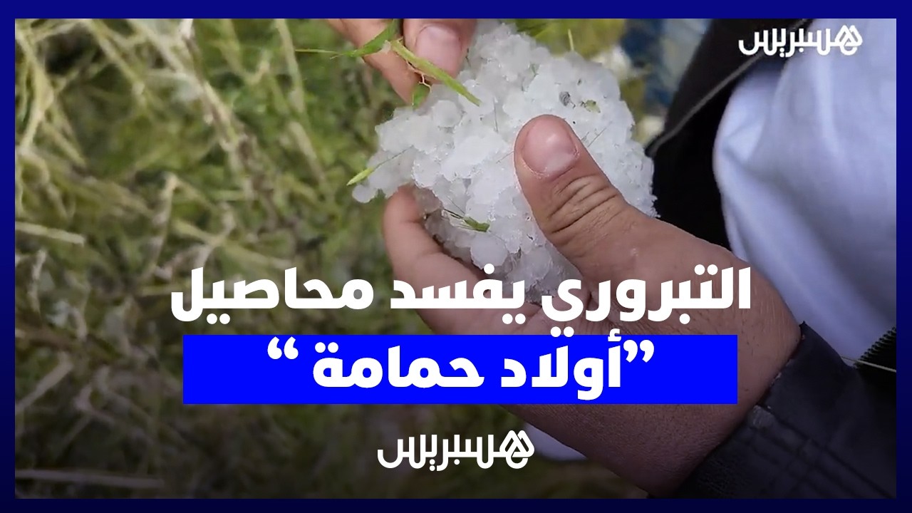عاصفة "تبروري" نادرة تدمر المحاصيل الزراعية بمنطقة "أولاد حمامة" وتخلف خسائر مادية جسيمة thumbnail