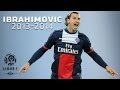 Zlatan Ibrahimovic - All Goals in 2013-2014 (1st half) - PSG