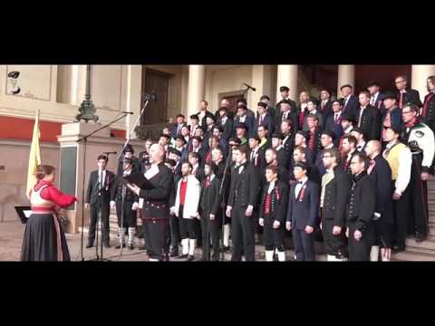 Norge, mit Norge - Den norske Studentersangforening (DnS) og Magnus Staveland på 17. mai