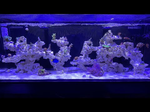 video2