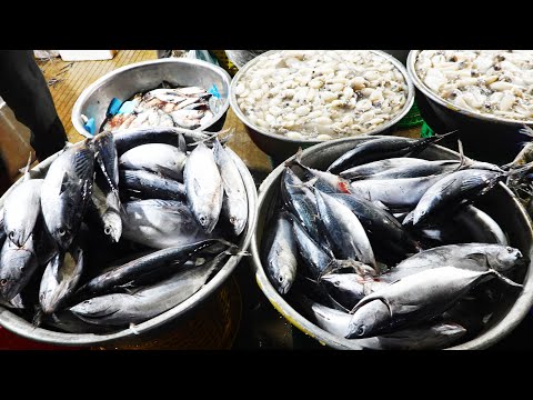 Night Market Scenes, Fruits And Fish Night Market Chhbar Ampov, Phnom Penh