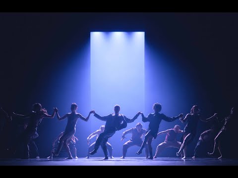 HOFESH SHECHTER COMPANY