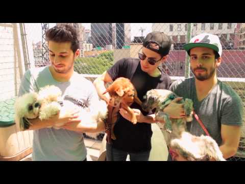 Vote Cash Cash @ DJ Mag Top 100 DJs 2014